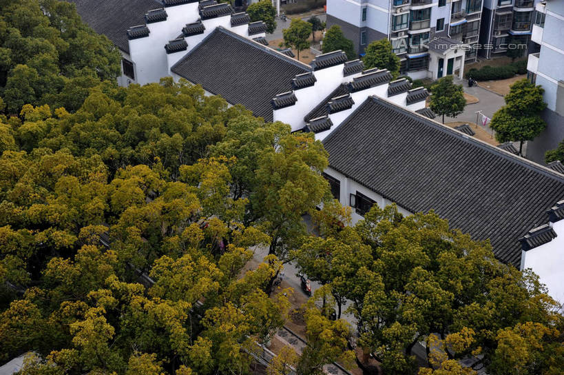 无人,家,横图,俯视,航拍,室外,白天,旅游,度假,美景,树林,植物,城市风光,城市,建筑,上海,中国,亚洲,阴影,光线,瓦片,影子,房屋,屋顶,屋子,景观,公寓,顶棚,瓦,娱乐,建设,洋房,楼房,住宅,树,树木,绿色,阳光,自然,享受,休闲,景色,放松,建造,生长,成长,申,鸟瞰,东亚,屋瓦,安亭,上海市,嘉定区,中华人民共和国,沪,华东地区,彩图,高角度拍摄,房子,安亭镇,shzxz1