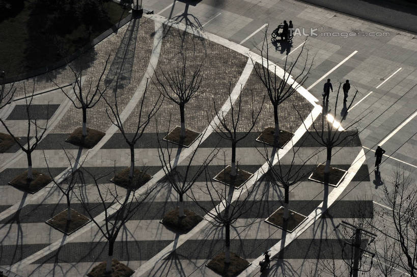 无人,横图,俯视,航拍,室外,白天,度假,美景,植物,城市风光,城市,上海,中国,亚洲,阴影,光线,影子,景观,娱乐,树,树木,绿色,阳光,自然,享受,休闲,景色,放松,生长,成长,申,鸟瞰,东亚,安亭,上海市,嘉定区,中华人民共和国,沪,华东地区,彩图,高角度拍摄,安亭市民广场,安亭镇,shzxz1