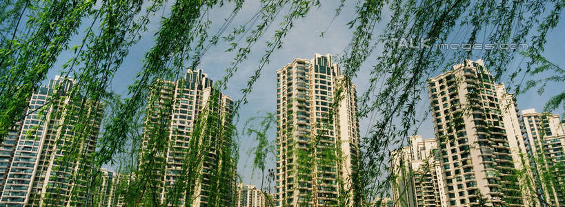 无人,高楼大厦,横图,室外,白天,仰视,度假,美景,植物,城市风光,城市,大厦,建筑,摩天大楼,柳树,叶子,上海,中国,亚洲,阴影,光线,影子,景观,绿叶,娱乐,建设,垂柳,树,树木,蓝色,绿色,蓝天,天空,阳光,自然,天,享受,休闲,嫩叶,景色,放松,生长,晴朗,成长,申,东亚,普陀区,中远两湾城,上海市,万里无云,中华人民共和国,沪,华东地区,倒挂柳,叶,叶片,晴空,晴空万里,垂枝柳,彩图,低角度拍摄,大楼,高层建筑,高楼,摩天楼,shzxz1