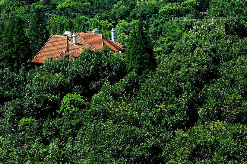 无人,家,横图,俯视,航拍,室外,白天,旅游,度假,美景,树林,植物,城市风光,城市,建筑,上海,中国,亚洲,阴影,光线,影子,房屋,屋子,景观,公寓,娱乐,建设,洋房,楼房,住宅,树,树木,绿色,阳光,自然,享受,休闲,景色,放松,生长,成长,申,鸟瞰,东亚,徐汇区,上海市,衡山路,中华人民共和国,沪,华东地区,彩图,高角度拍摄,房子,shzxz1