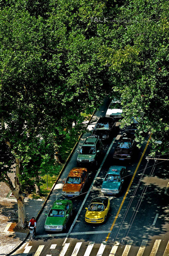 无人,竖图,俯视,航拍,室外,白天,度假,美景,植物,城市风光,城市,道路,路,人行横道,公路,汽车,上海,中国,亚洲,阴影,光线,影子,景观,人行道,分界线,停车线,交通,娱乐,车,树,树木,绿色,阳光,自然,交通工具,轿车,享受,休闲,景色,放松,生长,成长,车行道,车行道分界线,申,鸟瞰,载具,标线,人行横道线,东亚,车行线,徐汇区,上海市,衡山路,中华人民共和国,沪,华东地区,斑马线,马路,彩图,高角度拍摄,shzxz1