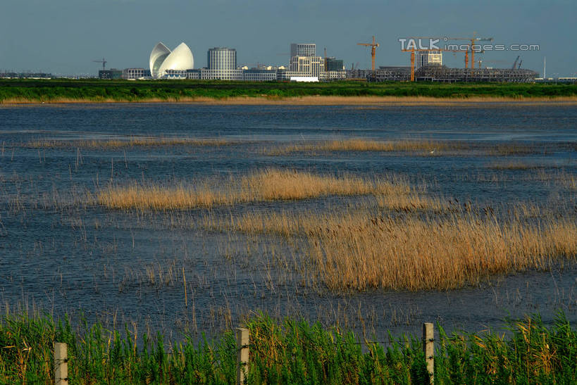 无人,高楼大厦,横图,室外,白天,正面,度假,草地,草坪,河流,美景,水,植物,城市风光,城市,大厦,建筑,摩天大楼,上海,中国,亚洲,阴影,光线,影子,河水,景观,水流,娱乐,建设,浦东,草,蓝色,绿色,蓝天,天空,阳光,天,享受,休闲,景色,放松,晴朗,临港新城,申,浦东新区,东亚,上海市,万里无云,中华人民共和国,沪,华东地区,晴空,晴空万里,彩图,大楼,高层建筑,高楼,摩天楼,shzxz1