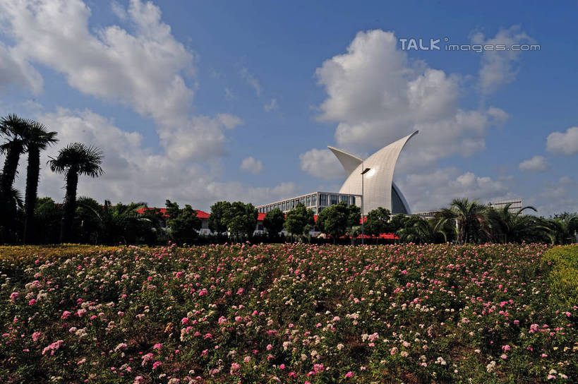 无人,高楼大厦,横图,室外,白天,仰视,度假,花海,花圃,美景,植物,城市风光,城市,大厦,建筑,摩天大楼,叶子,上海,中国,亚洲,阴影,盛开,光线,影子,景观,云,云朵,花蕾,云彩,娱乐,建设,浦东,花,花瓣,花朵,花卉,鲜花,树,树木,蓝色,绿色,白云,蓝天,天空,阳光,自然,花丛,花束,花田,天,花苞,花蕊,享受,休闲,景色,放松,生长,晴朗,成长,临港新城,申,浦东新区,东亚,上海市,中华人民共和国,沪,华东地区,晴空,彩图,低角度拍摄,大楼,高层建筑,高楼,摩天楼,shzxz1