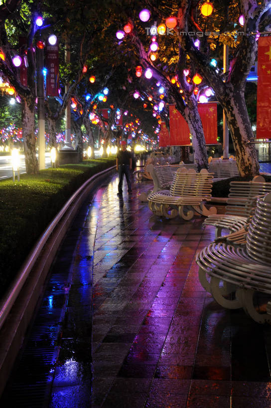 无人,竖图,室外,夜晚,正面,长时间曝光,度假,美景,植物,城市风光,城市,道路,路,夜景,公路,照明,上海,中国,亚洲,阴影,朦胧,模糊,光线,彩灯,影子,景观,灯光,交通,娱乐,灯,树,树木,绿色,自然,灯具,享受,休闲,景色,放松,花灯,生长,成长,淮海路,照亮,申,照明设备,曝光,黄浦区,东亚,淮海中路,徐汇区,上海市,中华人民共和国,沪,华东地区,马路,彩图,shzxz1