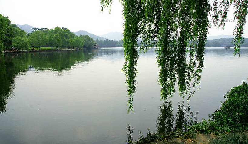 无人,横图,室外,白天,正面,旅游,度假,湖,湖泊,美景,山,山脉,树林,水,植物,柳树,杭州西湖,西湖,中国,亚洲,阴影,光线,影子,湖面,景观,山峰,水流,水面,山峦,娱乐,浙江,垂柳,树,树木,浙江省,蓝色,绿色,倒影,蓝天,天空,阳光,自然,湖水,群山,天,享受,休闲,景色,放松,生长,成长,杭州,波光粼粼,倒映,自然风光,东亚,杭州市,苏堤,中华人民共和国,华东地区,省会,浙,倒挂柳,反照,西湖区,垂枝柳,彩图,shzyn1