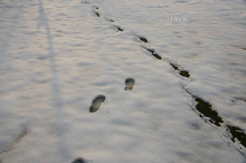 无人,横图,俯视,室外,白天,旅游,度假,美景,雪,大雪,上海,中国,亚洲,脚印,阴影,光线,影子,积雪,景观,雪景,冬季,冬天,娱乐,阳光,自然,享受,休闲,景色,放松,寒冷,申,足迹,自然风光,东亚,松江区,上海市,中华人民共和国,沪,华东地区,严寒,行踪,脚迹,彩图,高角度拍摄,shzyn1
