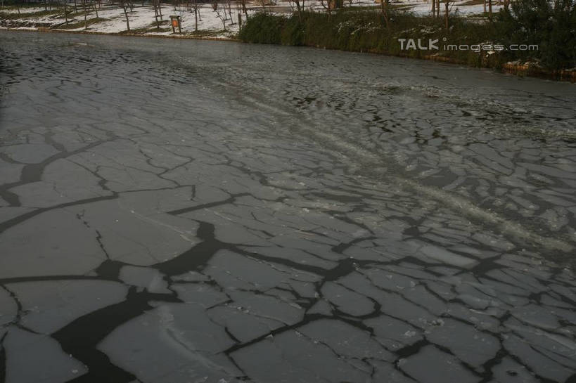 无人,横图,俯视,室外,白天,旅游,度假,河流,美景,树林,水,植物,上海,中国,亚洲,阴影,光线,影子,冰,河水,景观,水流,娱乐,树,树木,绿色,阳光,自然,浮冰,享受,休闲,景色,放松,寒冷,生长,成长,申,冰冷,自然风光,东亚,松江区,上海市,中华人民共和国,沪,华东地区,严寒,冰凉,酷寒,凛冽,凛凛,极冷,流冰,浮冰块,彩图,高角度拍摄,shzyn1