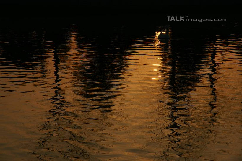 无人,横图,俯视,室外,白天,旅游,度假,日出,河流,美景,水,太阳,植物,上海,中国,亚洲,波纹,河水,景观,水流,朝霞,晨曦,黎明,涟漪,背光,娱乐,树,树木,绿色,倒影,水纹,阳光,自然,波浪,享受,休闲,景色,放松,奉贤区,生长,成长,申,倒映,自然风光,逆光,东亚,上海市,中华人民共和国,沪,华东地区,水晕,反照,朝阳,彩图,高角度拍摄,卯时,破晓,日始,shzyn1