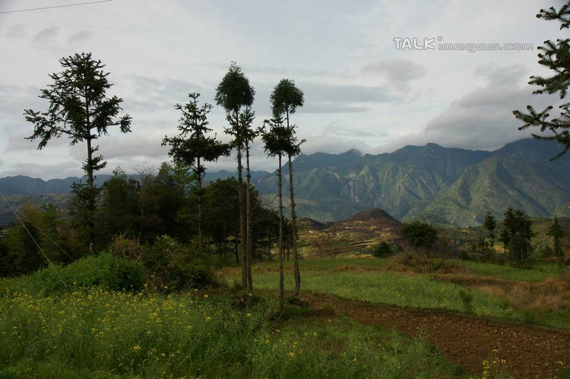 无人,横图,室外,白天,正面,旅游,度假,草地,草坪,美景,山,山脉,植物,中国,亚洲,景观,山峰,云,云朵,山峦,云彩,娱乐,浙江,草,树,树木,浙江省,蓝色,绿色,白云,蓝天,天空,自然,群山,天,享受,休闲,景色,放松,生长,晴朗,成长,自然风光,东亚,永嘉,中华人民共和国,华东地区,浙,茗岙,温州,温州市,晴空,彩图,茗岙乡,永嘉县,shzyn1