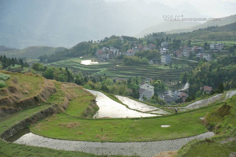 无人,农田,横图,俯视,室外,白天,旅游,度假,农业,庄稼,梯田,农作物,草地,草坪,美景,山,山脉,植物,中国,亚洲,曲折,弯曲,稻田,景观,山峰,山峦,娱乐,浙江,草,树,树木,浙江省,绿色,天空,自然,群山,天,享受,休闲,景色,放松,蜿蜒,生长,成长,自然风光,东亚,永嘉,中华人民共和国,华东地区,浙,茗岙,温州,温州市,彩图,高角度拍摄,耕地,庄稼田,茗岙乡,永嘉县,shzyn1