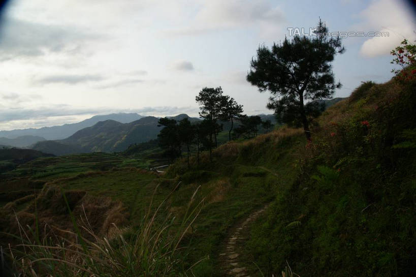 无人,横图,室外,白天,正面,旅游,度假,草地,草坪,美景,山,山脉,植物,中国,亚洲,景观,山峰,云,云朵,山峦,云彩,娱乐,浙江,草,树,树木,浙江省,蓝色,绿色,白云,蓝天,天空,自然,群山,天,享受,休闲,景色,放松,生长,晴朗,成长,自然风光,东亚,永嘉,中华人民共和国,华东地区,浙,茗岙,温州,温州市,晴空,彩图,茗岙乡,永嘉县,shzyn1