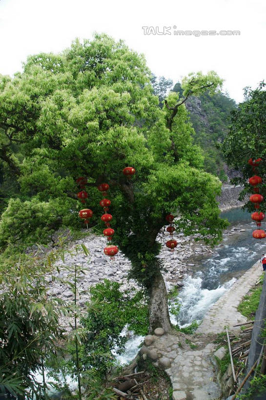 无人,竖图,室外,白天,仰视,旅游,度假,河流,石头,美景,森林,树林,水,植物,照明,楠溪江,中国,亚洲,吊挂,悬挂,灯笼,石子,纸灯笼,河水,景观,水流,挂,娱乐,浙江,树,树木,浙江省,红色,绿色,天空,自然,灯具,天,享受,休闲,景色,放松,生长,成长,照亮,照明设备,自然风光,东亚,永嘉,中华人民共和国,华东地区,浙,温州,温州市,石块,岩石,彩图,低角度拍摄,永嘉县,shzyn1