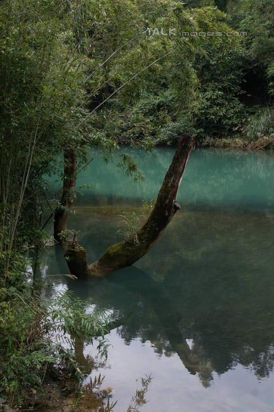 无人,竖图,室外,白天,正面,旅游,度假,河流,美景,森林,树林,水,植物,中国,亚洲,河水,景观,水流,娱乐,树,树木,绿色,倒影,自然,享受,休闲,景色,放松,生长,成长,倒映,自然风光,东亚,贵州,贵州省,中华人民共和国,荔波大小七孔,黔,西南地区,黔南,黔南州,黔南布依族苗族自治州,反照,彩图,大小七孔,荔波,荔波县,荔波小七孔,shzyn1