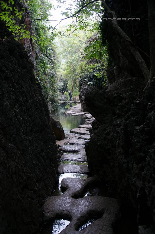 无人,竖图,室外,白天,正面,旅游,度假,河流,石头,美景,森林,山,山脉,树林,水,植物,黄果树瀑布,中国,亚洲,石子,河水,景观,山峰,水流,山峦,娱乐,树,树木,绿色,自然,群山,享受,休闲,景色,放松,生长,成长,自然风光,东亚,贵州,贵州省,安顺,中华人民共和国,安顺市,黔,西南地区,天星桥,黄果树大瀑布,石块,岩石,彩图,天星桥景区,镇宁布依族苗族自治县,镇宁县,shzyn1