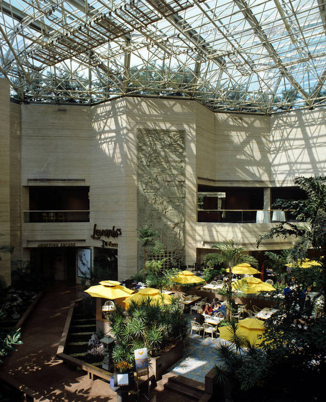 无人,宾馆,竖图,室内,白天,正面,植物,餐桌,窗户,桌子,酒店,阴影,光线,盆栽,伞,影子,雨伞,遮阳伞,墙,天窗,盆景,阳伞,玻璃窗,墙壁,墙面,绿色,阳光,自然,生长,成长,餐台,旅社,太阳伞,彩图,客店,客栈,旅店,旅馆,商旅,szzm1