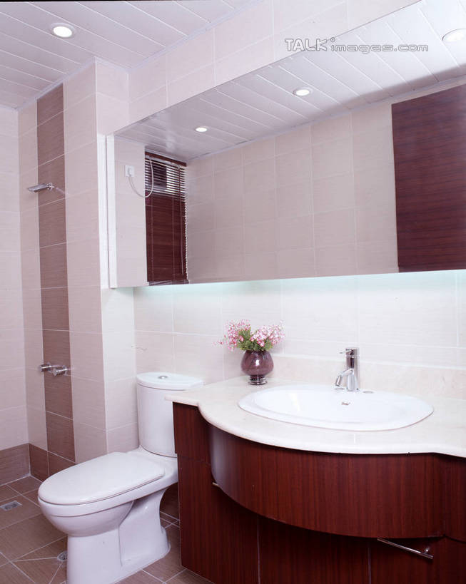 无人,家,竖图,室内,白天,正面,化妆,美容,植物,别墅,家具,镜子,生活用品,天花板,卫生间,洗手间,浴室,装修,建筑,照明,欧式,装饰,盛开,反射,盆栽,水槽,房屋,马桶,墙,屋子,公寓,灯光,盆景,豪华,花蕾,建设,现代,水斗,装潢,洋房,楼房,顶灯,墙壁,墙面,住宅,灯,花,花瓣,花朵,鲜花,绿色,白色,自然,化妆镜,灯具,室内装潢,花苞,花蕊,座便器,生长,成长,样板房,明亮,照亮,镜像,舒适,家居装潢,镜面,照明设备,房屋设计,卫浴,地中海风格,古典风格,简约风格,室内设计,宽敞,样板房装潢,光学,子孙桶,设计,厕所,淋浴房,彩图,冲凉房,房子,沐浴间,沐浴室,szzm1