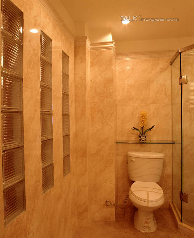 无人,家,竖图,室内,白天,正面,植物,别墅,家具,生活用品,天花板,卫生间,洗手间,浴室,装修,建筑,照明,欧式,阴影,装饰,光线,盆栽,影子,房屋,马桶,墙,屋子,公寓,灯光,盆景,豪华,建设,现代,装潢,洋房,楼房,顶灯,墙壁,墙面,住宅,灯,绿色,自然,灯具,室内装潢,座便器,生长,成长,样板房,明亮,照亮,舒适,家居装潢,照明设备,房屋设计,卫浴,地中海风格,古典风格,简约风格,室内设计,宽敞,样板房装潢,子孙桶,设计,厕所,淋浴房,彩图,冲凉房,房子,沐浴间,沐浴室,szzm1