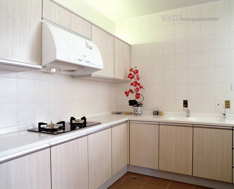 无人,家,横图,室内,白天,正面,植物,别墅,厨房,柜子,家具,天花板,装修,桌面,桌子,建筑,厨具,欧式,阴影,装饰,盛开,反射,工具,盆栽,影子,房屋,墙,屋子,公寓,盆景,储物柜,豪华,花蕾,干净,建设,现代,装潢,洋房,楼房,墙壁,墙面,住宅,花,花瓣,花朵,鲜花,绿色,自然,室内装潢,花苞,花蕊,生长,成长,油烟机,灶具,样板房,明亮,卫生,舒适,家居装潢,吸油烟机,储存,燃气灶,房屋设计,地中海风格,古典风格,简约风格,室内设计,宽敞,样板房装潢,燃气具,储备,蕴藏,贮备,设计,彩图,房子,灶间,厨房料理台,贮存,料理台,szzm1