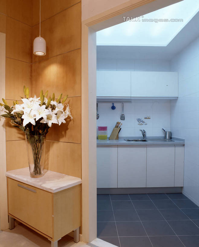 无人,家,竖图,室内,白天,正面,植物,别墅,厨房,家具,天花板,装修,桌面,桌子,建筑,厨具,照明,欧式,阴影,装饰,盛开,光线,工具,盆栽,水槽,水龙头,影子,房屋,墙,屋子,公寓,灯光,盆景,豪华,花蕾,干净,建设,现代,水斗,装潢,洋房,楼房,顶灯,开关,墙壁,墙面,住宅,灯,花,花瓣,花朵,鲜花,绿色,自然,灯具,室内装潢,花苞,花蕊,打开,生长,成长,油烟机,样板房,明亮,照亮,阀门,卫生,舒适,家居装潢,吸油烟机,开启,照明设备,房屋设计,地中海风格,古典风格,简约风格,室内设计,宽敞,样板房装潢,水咀,设计,彩图,房子,灶间,厨房料理台,料理台,szzm1