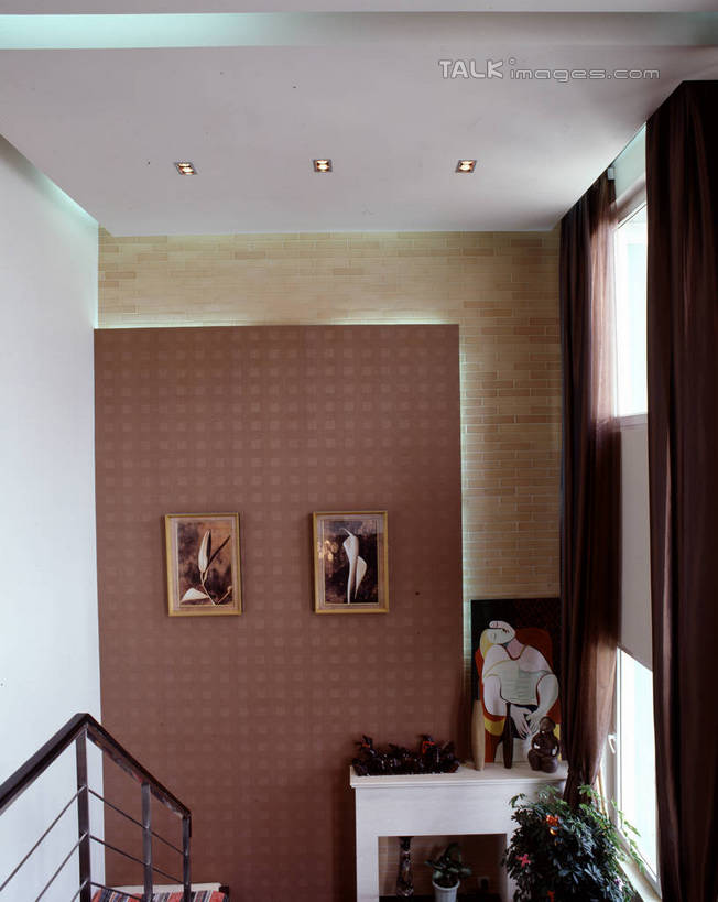 无人,家,栏杆,竖图,室内,白天,正面,绘画,植物,别墅,家具,楼梯,天花板,装修,建筑,照明,欧式,阴影,艺术,装饰,光线,扶手,盆栽,影子,房屋,阶梯,墙,屋子,公寓,灯光,盆景,古典,豪华,文化,建设,现代,装潢,洋房,护栏,楼房,顶灯,墙壁,墙面,台阶,住宅,灯,绿色,自然,工艺品,灯具,室内装潢,品味,生长,成长,样板房,明亮,照亮,美术,高雅,舒适,家居装潢,照明设备,挂画,房屋设计,地中海风格,古典风格,简约风格,室内设计,宽敞,样板房装潢,美学,设计,装饰画,彩图,房子,szzm1