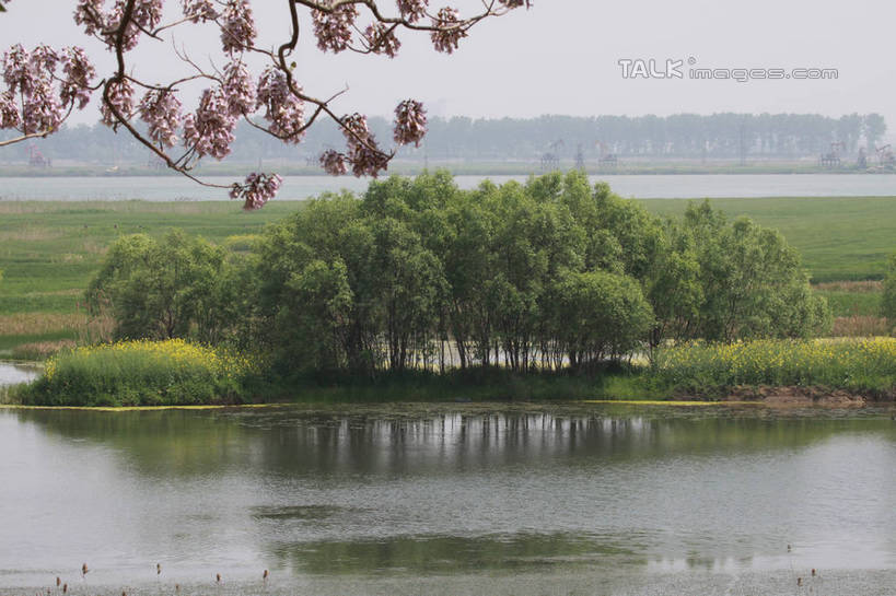 无人,横图,俯视,室外,白天,旅游,度假,草地,草坪,河流,美景,树林,水,植物,许多,阴影,盛开,光线,影子,河水,景观,水流,花蕾,娱乐,草,花,花瓣,花朵,鲜花,树,树木,粉色,绿色,倒影,天空,阳光,自然,天,花苞,花蕊,享受,休闲,景色,放松,生长,成长,倒映,自然风光,反照,彩图,高角度拍摄,tascy1