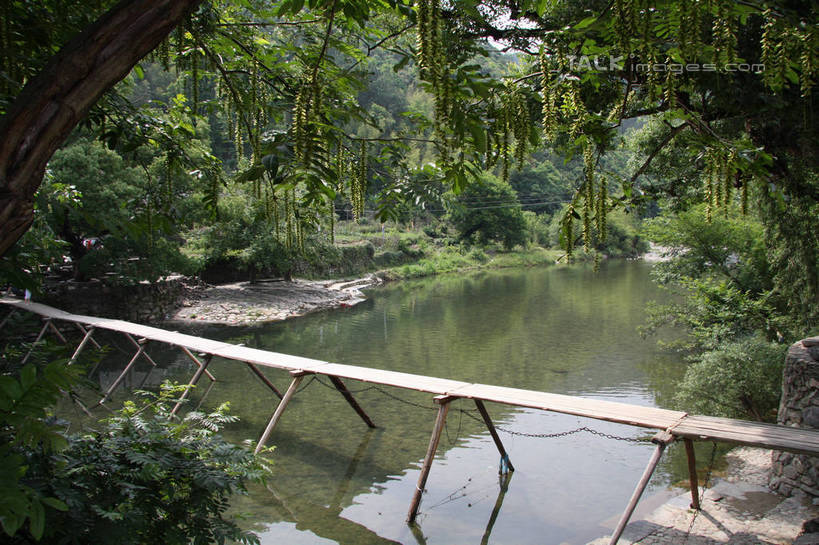 无人,横图,俯视,室外,白天,旅游,度假,草地,草坪,河流,美景,树林,水,植物,阴影,光线,木板,影子,支架,河水,景观,水流,桥,木桥,娱乐,栈桥,草,树,树木,绿色,倒影,阳光,自然,享受,休闲,景色,放松,生长,成长,人行桥,木板桥,支撑,波光粼粼,倒映,自然风光,反照,彩图,高角度拍摄,tascy1