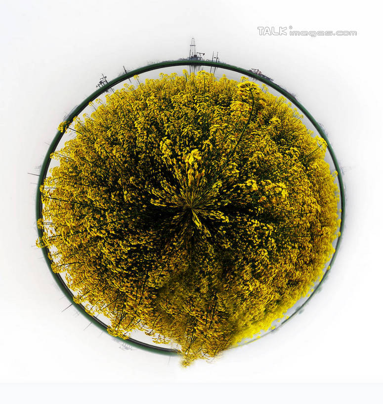 无人,农田,竖图,室外,白天,正面,庄稼,农作物,石油,机器,数码,科技,草地,草坪,湖,湖泊,花海,花圃,水,植物,叶子,中国,亚洲,许多,阴影,环保,盛开,光线,网络,影子,湖面,水流,水面,云,云朵,高光,几何,计算机图形,球形,合成,花蕾,云彩,旋转,江苏,草,花,花瓣,花朵,花卉,鲜花,黄色,蓝色,绿色,白云,倒影,蓝天,天空,阳光,湖水,花丛,花束,花田,天,春季,春天,花苞,花蕊,油菜花,球体,机械,能源,晴朗,生机,生态,回收,挖掘,电脑合成图,数码合成图,资源,倒映,生命,开采,油田,利用,低碳,东亚,循环,江苏省,抽油机,中华人民共和国,华东地区,苏,写实,具体,具象,磕头机,游梁式抽油机,持续,春日,开掘,反照,发掘,梁式抽油机,井架,高邮湖,晴空,彩图,耕地,庄稼田,芸苔,芸薹,yzdzj1