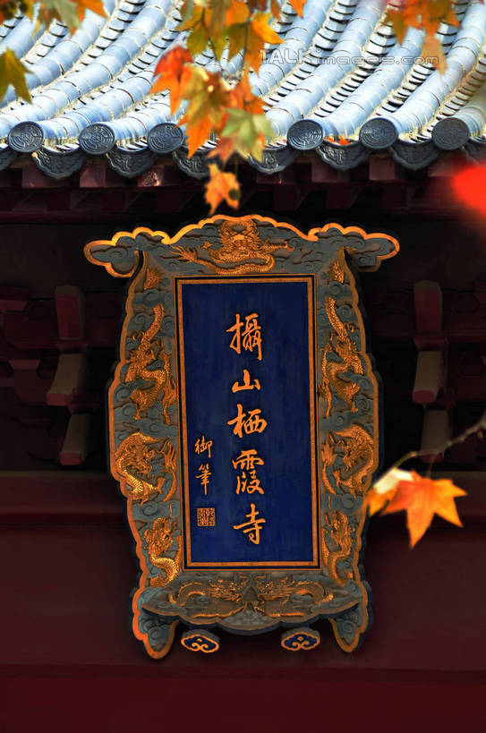 无人,寺庙,竖图,室外,特写,白天,仰视,旅游,度假,名胜古迹,秋季,植物,标志建筑,地标,建筑,枫树,叶子,南京,中国,亚洲,阴影,节日,遗迹,光线,标志,瓦片,文字,影子,字符,屋顶,屋檐,枫叶,枯叶,落叶,燃烧,顶棚,古迹,文化,文物,娱乐,标识,建设,古建筑,江苏,檐,树,树木,黄色,红色,阳光,香火,庙宇,祈祷,享受,休闲,健康,汉字,旅游胜地,放松,许愿,宗教,信仰,生长,成长,纪念,枫树叶,祈求,中文,古文明,东亚,江苏省,南京市,中华人民共和国,华东地区,苏,省会,国文,华文,栖霞寺,栖霞山,平安,石头城,叶,叶片,秋,秋天,彩图,低角度拍摄,庙,寺,yzdzj1