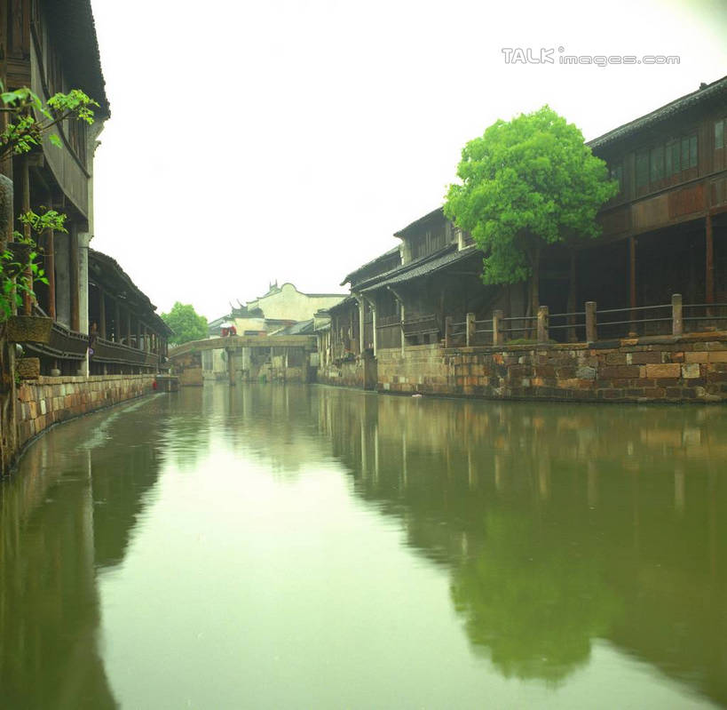 无人,家,横图,室外,白天,正面,旅游,度假,河流,美景,水,植物,中国,亚洲,许多,阴影,光线,影子,房屋,屋子,河水,景观,水流,娱乐,浙江,民居,住宅,树,树木,浙江省,蓝色,绿色,倒影,蓝天,天空,阳光,自然,天,享受,休闲,景色,放松,水乡,生长,成长,自然风光,东亚,乌镇,中华人民共和国,华东地区,浙,嘉兴,嘉兴市,桐乡市,彩图,房子,yzdzj1