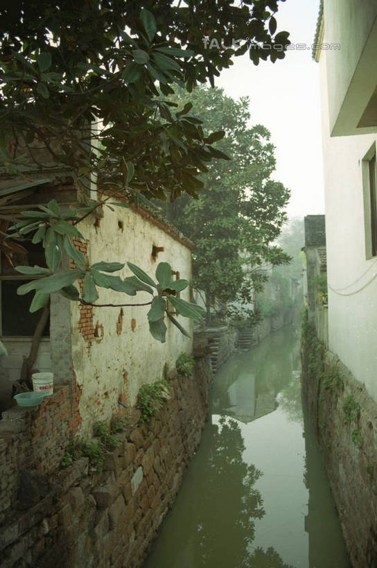 无人,家,竖图,室外,白天,正面,旅游,度假,河流,美景,水,植物,中国,亚洲,许多,阴影,光线,影子,房屋,墙,屋子,河水,景观,水流,娱乐,江苏,苏州,民居,墙壁,墙面,住宅,树,树木,蓝色,绿色,倒影,蓝天,天空,阳光,自然,天,享受,休闲,景色,放松,水乡,生长,成长,自然风光,东亚,江苏省,苏州市,中华人民共和国,华东地区,苏,木渎,木渎古镇,木渎镇,彩图,房子,yzdzj1