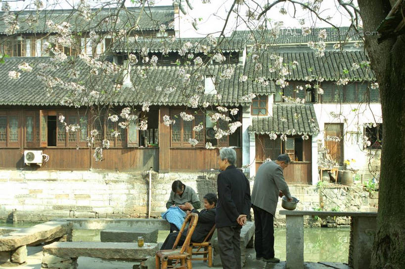 四个人,家,站,坐,横图,室外,白天,正面,旅游,度假,河流,美景,水,植物,椅子,中国,亚洲,许多,阴影,盛开,光线,影子,房屋,木椅,屋子,河水,景观,水流,拿,花蕾,拿着,娱乐,锅,浙江,民居,住宅,花,花瓣,花朵,鲜花,树,树木,浙江省,衣服,蓝色,绿色,蓝天,天空,阳光,自然,天,花苞,花蕊,站着,享受,休闲,景色,放松,水乡,生长,成长,杭州,自然风光,东亚,背手,杭州市,中华人民共和国,华东地区,省会,浙,缝补,南浔,南浔古镇,老年男性,老年女性,男人,男性,女人,女性,站立,坐着,彩图,全身,房子,yzdzj1