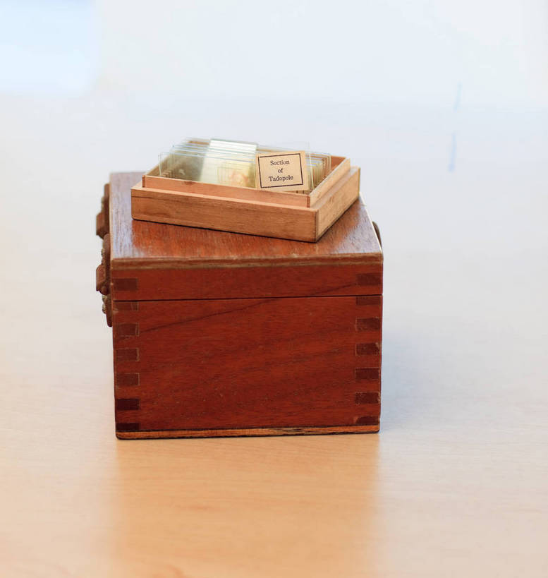 无人,竖图,俯视,室内,特写,白天,桌面,桌子,静物,阴影,反射,木制,木盒,镊子,影子,木桌,木制品,容器,储藏,储存,彩图,高角度拍摄,木桌子,贮存