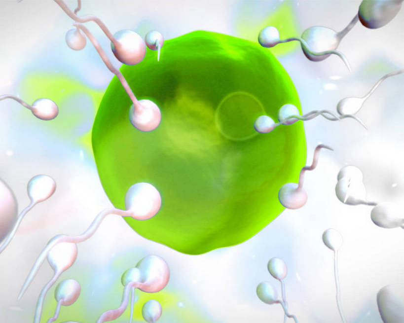 无人,横图,室内,白天,正面,数码,科技,阴影,网络,圆形,图形,圆,高光,几何,计算机图形,合成,绿色,精子,电脑合成图,数码合成图,合成图,繁殖,数学,交配,写实,具体,具象,受精,生殖细胞,单倍体生殖细胞,雄配子,雄性生殖细胞,雄性细胞,彩图,几何图形,平面图形