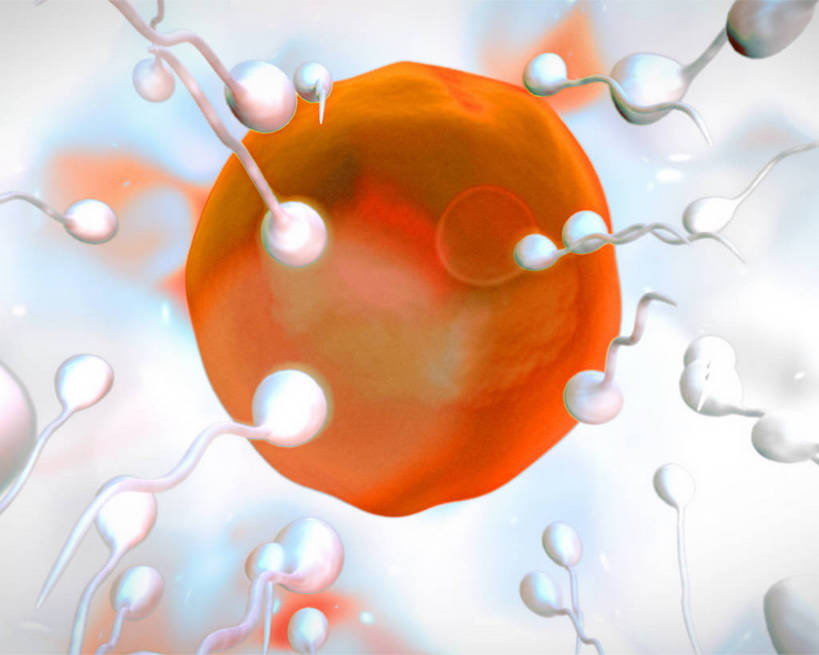 无人,横图,室内,特写,白天,正面,数码,科技,微生物,阴影,朦胧,模糊,科学,网络,医学,细胞,高光,几何,计算机图形,合成,精子,橙色,电脑合成图,数码合成图,生物学,合成图,卵子,卵细胞,写实,具体,具象,生殖细胞,单倍体生殖细胞,雄配子,雄性生殖细胞,雄性细胞,彩图