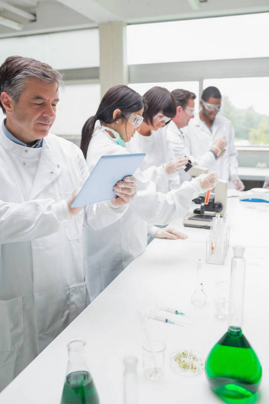 西方人,同事,科学家,笑,微笑,竖图,室内,白天,正面,成功,合作,团队,集体,信心,实验,仪器,窗户,落地窗,桌面,桌子,杯子,欧洲,非洲,黑人,欧洲人,五个人,阴影,检查,朦胧,模糊,研究,透明,反射,分析,科学,化学,测试,烧杯,烧瓶,试管,试管架,显微镜,影子,锥形瓶,实验室,研究室,许多人,队伍,玻璃窗,架子,玻璃制品,白色,玻璃瓶,瓶子,观察,一群人,器皿,清晰,探索,放大,观看,仔细,透镜,领导,凸透镜,聚焦,科研人员,成就,关注,研究者,合伙,领袖,工作台,计量,试验室,科学研究者,玻璃仪器,试验耗材,实验用品,光学,清楚,三角烧瓶,依氏烧瓶,锥形烧瓶,老年男性,男人,男性,年轻男性,年轻女性,女人,女性,中年女性,白种人,非洲人,科学工作者,玻璃杯,半身,彩图,光学显微镜,实验台,实验桌,容量瓶