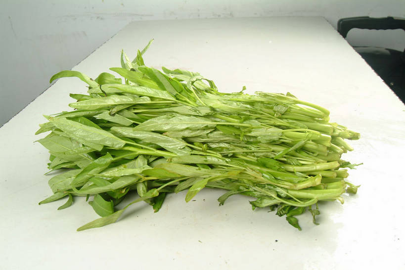 无人,横图,俯视,室内,特写,白天,餐桌,桌子,蔬菜,叶子,一堆,许多,阴影,堆叠,堆积,新鲜,反射,影子,食品,绿叶,很多,食物,绿色,白色,嫩叶,有机食品,绿色食品,餐台,堆,空心菜,空筒菜,藤菜,藤藤菜,蓊菜,蕹菜,竹叶菜,叶,叶片,彩图,高角度拍摄,shjb1