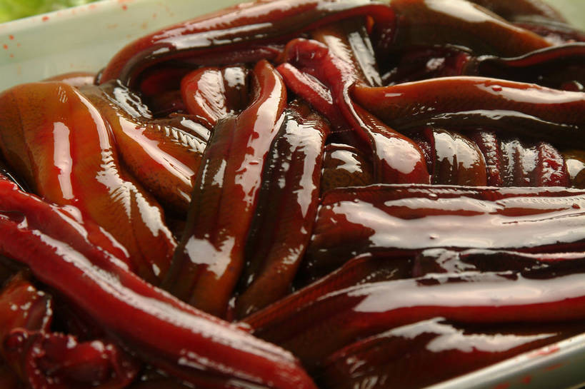 无人,横图,俯视,室内,特写,白天,烹饪,中餐,阴影,反射,鱼,影子,陶瓷,肉,鱼肉,料理,食品,陶瓷制品,水产,菜肴,美食,肉类,鱼类,食物,一个,容器,碗,中式,佳肴,单个,中华料理,鳝鱼,储藏,储存,水生动物,水生物,肉食,鳝,彩图,高角度拍摄,淡水生物,河鲜,黄鳝,贮存,shjb1