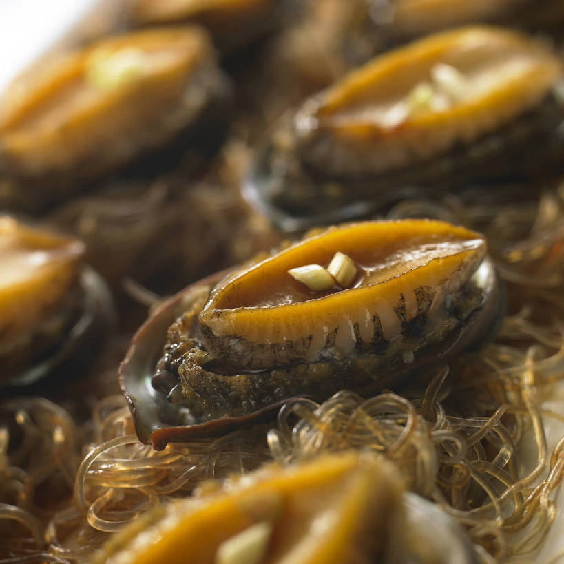 海鲜,面食,面条,无人,横图,俯视,室内,特写,白天,烹饪,中餐,一排,许多,阴影,朦胧,模糊,整齐,并列,并排,反射,影子,面,料理,食品,很多,粉丝,水产,菜肴,美食,海洋生物,食物,排列,中式,鲍鱼,佳肴,中华料理,石决明,队列,水生动物,海产品,平行,水生物,海底动物,鳆鱼,镜面鱼,明目鱼,冬粉,彩图,高角度拍摄,shjb1,粉丝鲍鱼,粉丝蒸鲍鱼