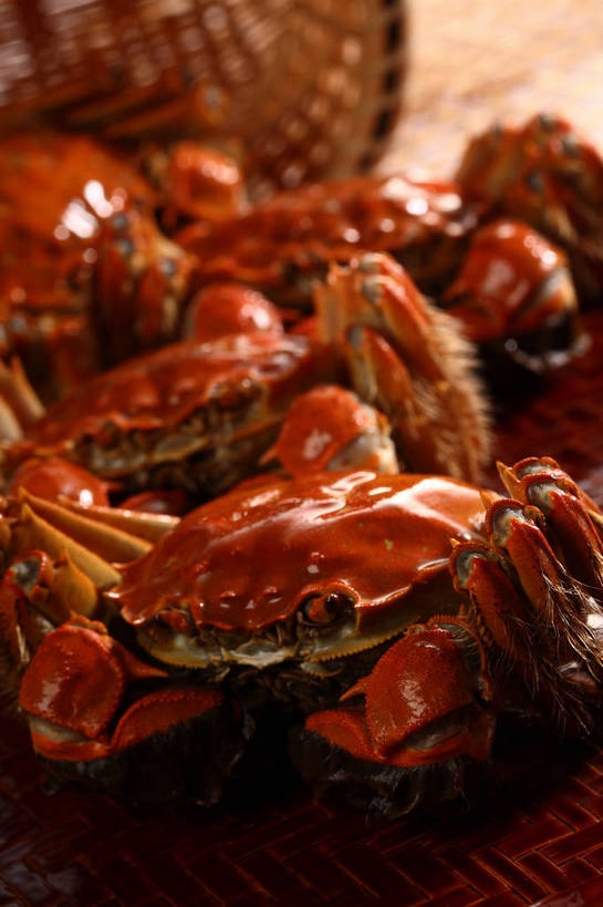 蟹,无人,交叉,竖图,俯视,室内,特写,白天,烹饪,中餐,餐桌,桌子,竹子,阴影,竹制,朦胧,模糊,编织,反射,螃蟹,篮子,影子,料理,食品,菜肴,美食,食物,一个,红色,竹篮,中式,佳肴,单个,餐台,中华料理,竹条,交织,竹制品,清蒸,穿插,甲壳动物,彩图,高角度拍摄,清蒸菜,清蒸蟹,shjb1