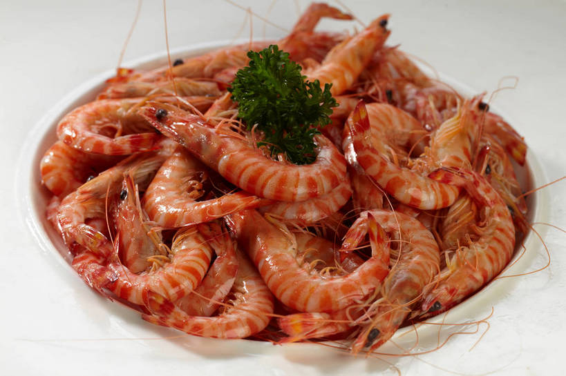 海鲜,无人,横图,俯视,室内,特写,白天,烹饪,中餐,餐桌,桌子,芹菜,一堆,许多,堆叠,堆积,装饰,陶瓷,肉,料理,食品,陶瓷制品,基围虾,很多,水产,菜肴,美食,肉类,海洋生物,食物,一个,白色,容器,碗,中式,佳肴,荷兰芹,欧芹,香芹,单个,餐台,中华料理,储藏,堆,华丽,修饰,虾肉,点缀,储存,水生动物,海产品,水生物,肉食,海底动物,法香,巴西利,洋香菜,洋芫荽,法国香菜,衬托,美观,雅致,雅观,旱芹菜,番荽,刀额新对虾,麻虾,新对虾,广东菜,粤菜,彩图,高角度拍摄,贮存,白灼虾,shjb1