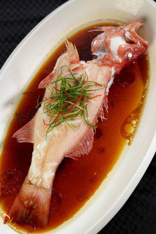 海鲜,无人,竖图,俯视,室内,特写,白天,烹饪,中餐,餐桌,桌子,姜,餐具,鱼,碟子,盘,陶瓷,葱,青葱,调料,肉,香料,鱼肉,料理,食品,陶瓷制品,调味品,调味料,酱油,水产,菜肴,美食,肉类,鱼类,海洋生物,食物,白色,盘子,碟,中式,佳肴,餐台,中华料理,水生动物,海产品,红笛鲷,止咳,笛鲷,水生物,肉食,海底动物,蒸菜,止痛,解毒,大红鱼,赤鳍笛鲷,红鳍笛鲷,红鱼,发汗,温肺,温胃,行气,止呕,百辣云,豉油,生姜,老姜,彩图,高角度拍摄,清蒸鱼,散寒,shjb1,清蒸红鱼