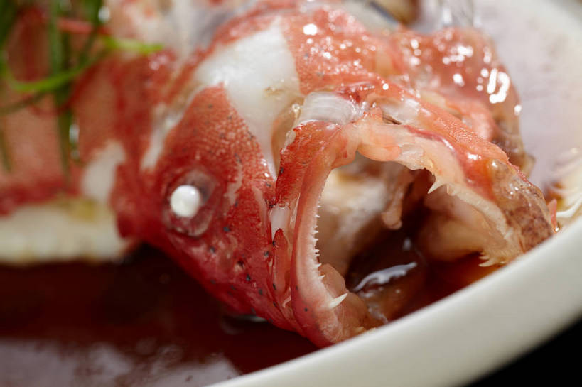 海鲜,无人,横图,俯视,室内,特写,白天,烹饪,中餐,餐桌,桌子,姜,餐具,朦胧,模糊,鱼,碟子,盘,陶瓷,葱,青葱,调料,肉,香料,鱼肉,料理,食品,陶瓷制品,调味品,鱼头,调味料,酱油,水产,菜肴,美食,肉类,鱼类,海洋生物,食物,白色,盘子,碟,中式,佳肴,餐台,中华料理,水生动物,海产品,红笛鲷,止咳,笛鲷,水生物,肉食,海底动物,蒸菜,止痛,解毒,大红鱼,赤鳍笛鲷,红鳍笛鲷,红鱼,发汗,温肺,温胃,行气,止呕,百辣云,豉油,生姜,老姜,彩图,高角度拍摄,清蒸鱼,散寒,shjb1,清蒸红鱼