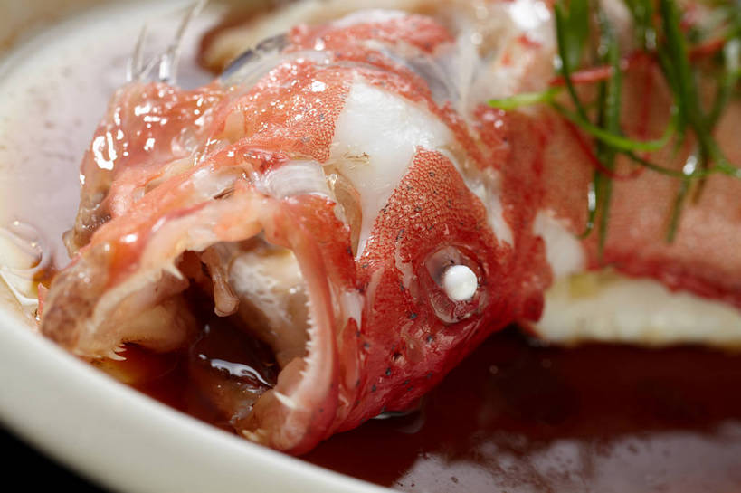 海鲜,无人,横图,俯视,室内,特写,白天,烹饪,中餐,餐桌,桌子,姜,餐具,朦胧,模糊,鱼,碟子,盘,陶瓷,葱,青葱,调料,肉,香料,鱼肉,料理,食品,陶瓷制品,调味品,鱼头,调味料,酱油,水产,菜肴,美食,肉类,鱼类,海洋生物,食物,白色,盘子,碟,中式,佳肴,餐台,中华料理,水生动物,海产品,红笛鲷,止咳,笛鲷,水生物,肉食,海底动物,蒸菜,止痛,解毒,大红鱼,赤鳍笛鲷,红鳍笛鲷,红鱼,发汗,温肺,温胃,行气,止呕,百辣云,豉油,生姜,老姜,彩图,高角度拍摄,清蒸鱼,散寒,shjb1,清蒸红鱼