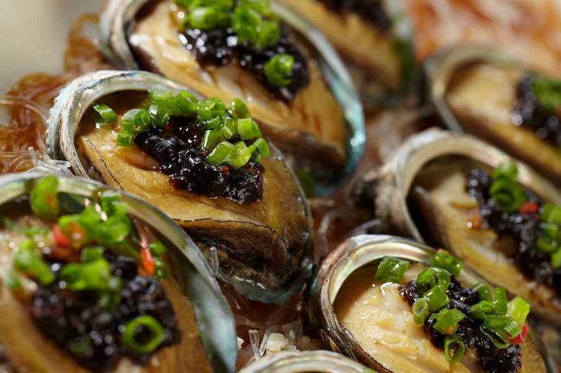 海鲜,面食,面条,无人,横图,俯视,室内,特写,白天,烹饪,中餐,餐具,一排,许多,朦胧,模糊,整齐,并列,并排,碟子,盘,陶瓷,葱,青葱,调料,面,料理,食品,陶瓷制品,调味品,很多,调味料,粉丝,水产,菜肴,美食,海洋生物,食物,排列,盘子,碟,中式,鲍鱼,佳肴,中华料理,石决明,队列,水生动物,海产品,豆豉,平行,水生物,海底动物,鳆鱼,镜面鱼,明目鱼,冬粉,彩图,高角度拍摄,shjb1,粉丝鲍鱼,粉丝蒸鲍鱼