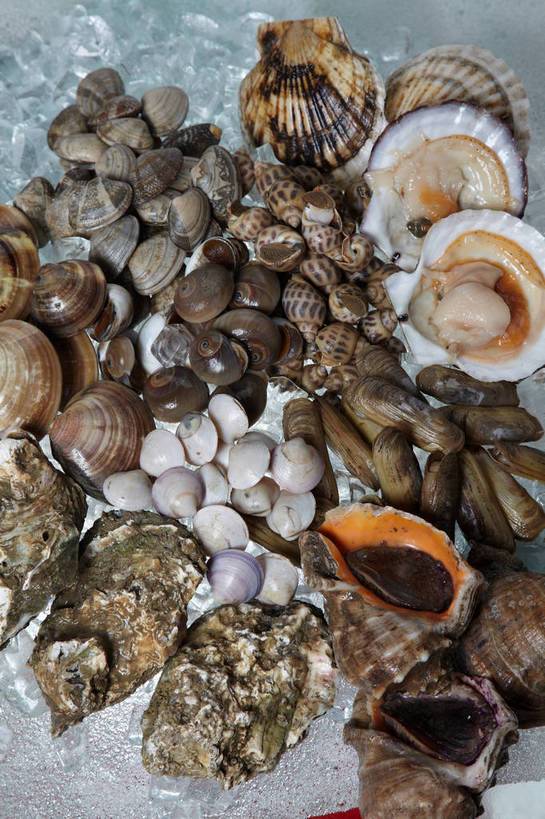 海鲜,无人,竖图,俯视,室内,特写,白天,餐桌,桌子,一堆,许多,堆叠,堆积,冰,冰块,牡蛎,很多,冷冻,蛤蜊,水产,海洋生物,蛤,寒冷,冷藏,餐台,堆,生蚝,冰冷,水生动物,海产品,水生物,海底动物,蛤仔,保鲜,半身,彩图,高角度拍摄,花蛤,文蛤,shjb1