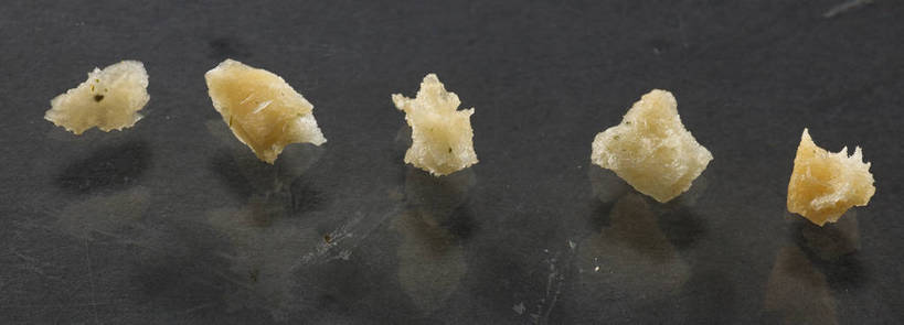 点心,无人,横图,俯视,室内,特写,白天,餐桌,桌子,一排,朦胧,模糊,整齐,食品,破坏,薯片,破损,食物,排列,黄色,零食,餐台,损坏,队列,垃圾食品,五块,彩图,高角度拍摄,shjb1,喀吱脆