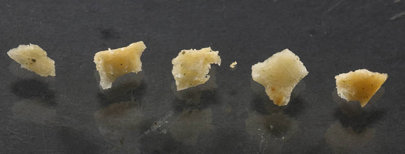 点心,无人,横图,俯视,室内,特写,白天,餐桌,桌子,一排,朦胧,模糊,整齐,食品,破坏,薯片,破损,食物,排列,黄色,零食,餐台,损坏,队列,垃圾食品,五块,彩图,高角度拍摄,shjb1,喀吱脆