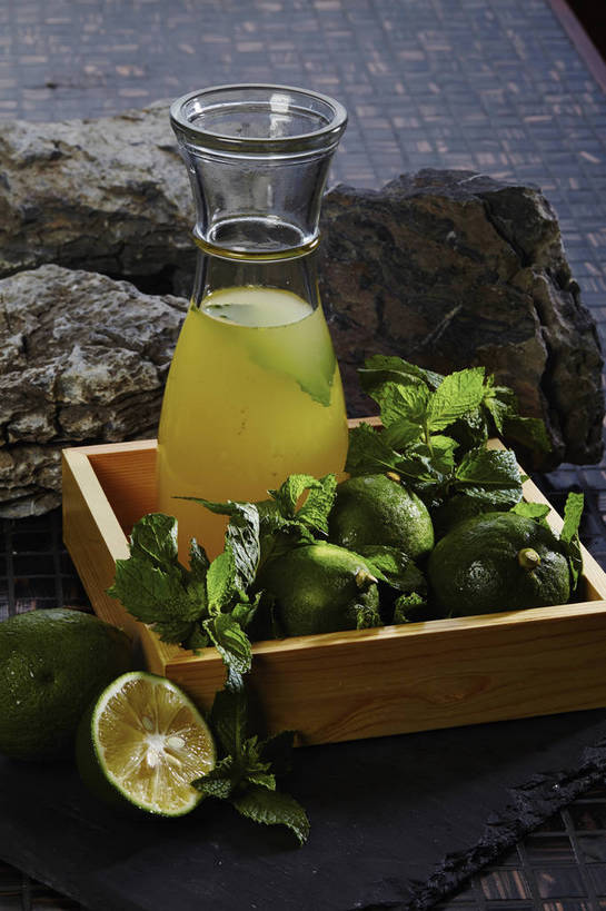 果汁,无人,竖图,俯视,室内,特写,白天,石头,餐桌,桌子,柠檬,水果,叶子,许多,切开,新鲜,石子,纸盒,生食,薄荷,食品,果实,绿叶,银丹草,饮品,很多,一杯,盒子,食物,饮料,一个,绿色,包装盒,容器,切,嫩叶,有机食品,绿色食品,单个,餐台,储藏,青柠,莱姆,储存,可口,剖面,青柠汁,切面,斑叶凤梨薄荷,夜息香,适口,叶,叶片,石块,岩石,益母果,柠果,彩图,高角度拍摄,贮存,莱檬,shjb1