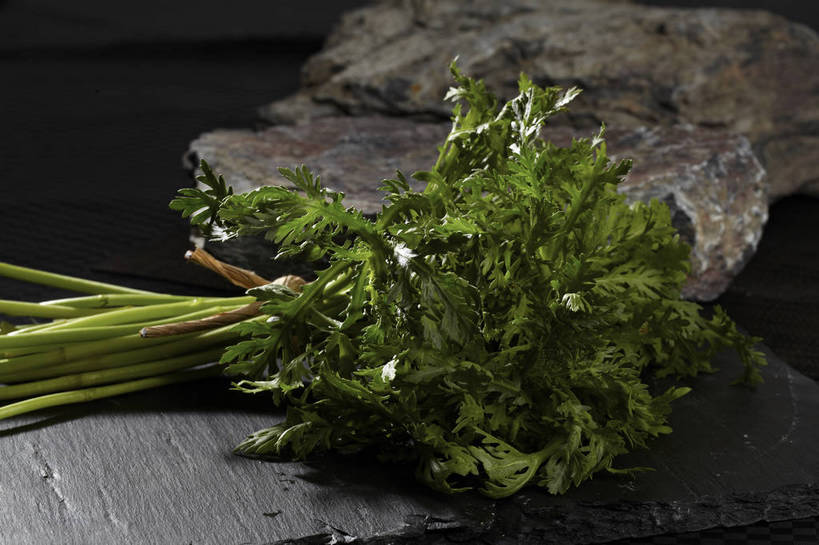 无人,横图,俯视,室内,特写,白天,石头,餐桌,桌子,蔬菜,叶子,一堆,许多,堆叠,堆积,新鲜,石子,食品,绿叶,蓬蒿,很多,食物,绿色,绳子,嫩叶,有机食品,绿色食品,餐台,堆,捆绑,绳索,茼蒿,春菊,茼蒿菜,绑缚,叶,叶片,石块,岩石,彩图,高角度拍摄,shjb1