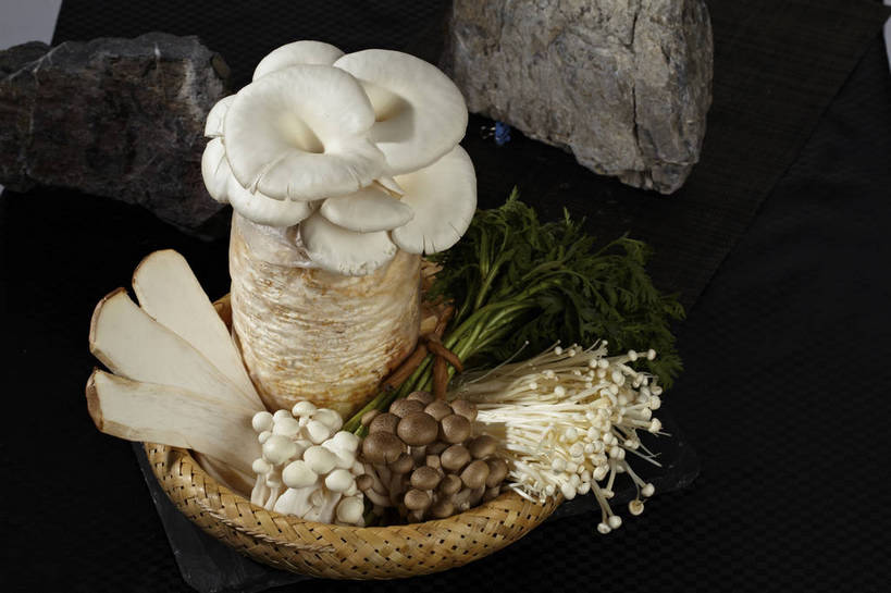 无人,交叉,横图,俯视,室内,特写,白天,烹饪,中餐,石头,餐桌,桌子,竹子,蔬菜,一堆,许多,切开,堆叠,堆积,竹制,新鲜,编织,篮子,石子,金针菇,菌菇,料理,食品,蓬蒿,很多,菌类,火锅,平菇,菜肴,美食,食物,一个,绳子,竹篮,切,中式,食用菌,佳肴,有机食品,绿色食品,单个,餐台,中华料理,竹条,堆,捆绑,绳索,交织,竹制品,真菌,剖面,切面,茼蒿,姬菇,春菊,茼蒿菜,构菌,金菇,毛柄金钱菌,银针菇,智力菇,绑缚,糙皮侧耳,侧耳,黑牡丹菇,穿插,杏鲍菇,刺芹侧耳,石块,岩石,彩图,高角度拍摄,shjb1